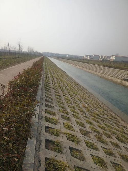 专业生产挡土墙砌块 生态挡土砖 护坡植草式挡土互锁砖定制
